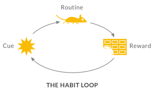 The Habit Loop