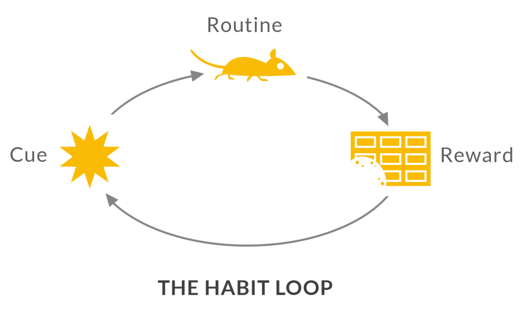 The Habit Loop |